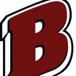 Badger logo