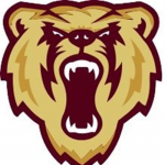 Barron logo