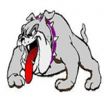 Boyceville logo
