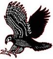 Brookwood logo