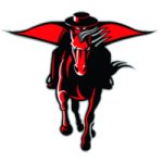Bruce logo