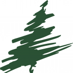 D. C. Everest logo