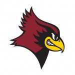 De Pere logo