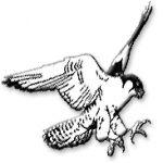 Goodman logo