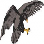 John Edwards logo