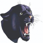 Oconto Falls logo