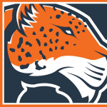 Schaumburg logo