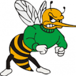 Wauzeka-Steuben logo